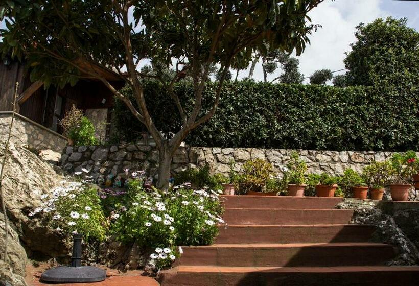 استودیوی لوکس, Villa Ida Bed & Breakfast