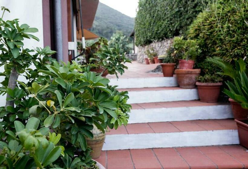 إستوديو ديلوكس, Villa Ida Bed & Breakfast