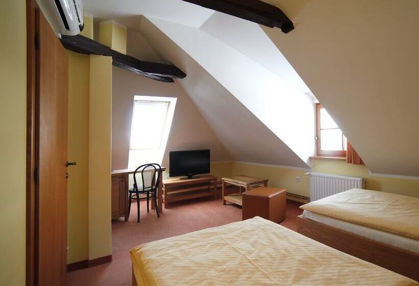 اتاق استاندارد با چشمانداز شهر, Bed & Breakfast šilak