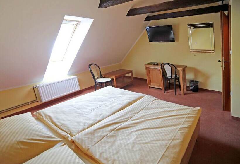 اتاق استاندارد با چشمانداز شهر, Bed & Breakfast šilak