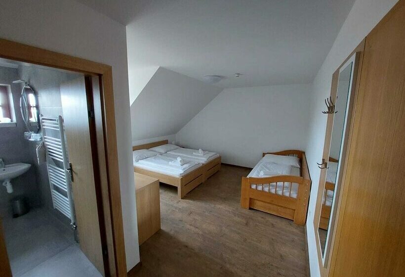 スタンダードルーム, Horský Hotel Hájenka