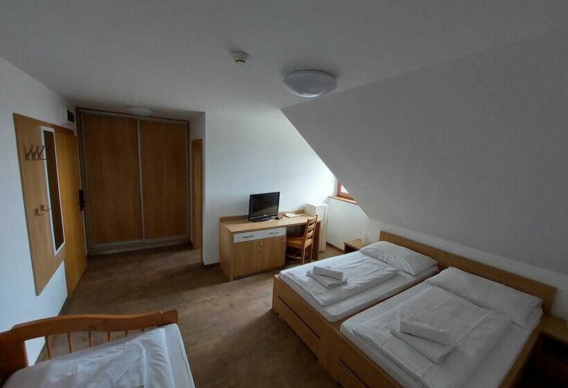 スタンダードルーム, Horský Hotel Hájenka