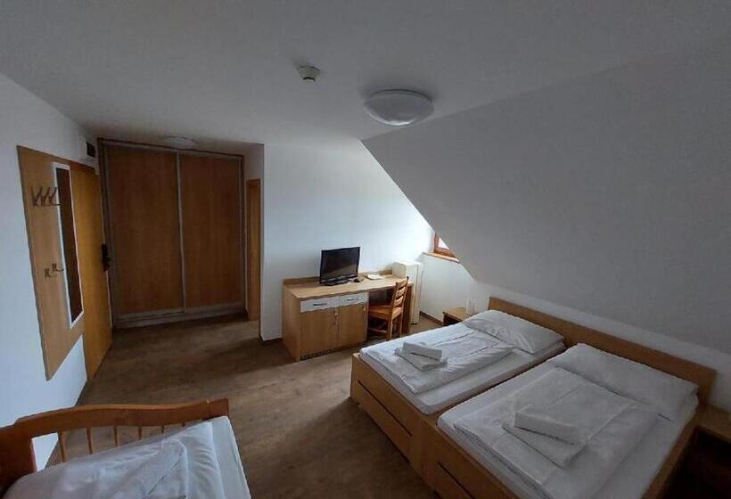 シングルデラックスルーム, Horský Hotel Hájenka