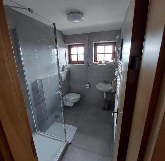 Номер Стандартный с Видом, Horský Hotel Hájenka