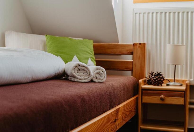 غرفة قياسية, Horský Hotel Popradské Pleso