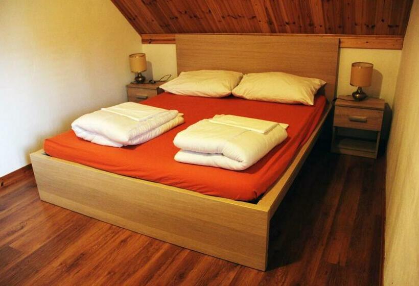 اتاق استاندارد با سرویس بهداشتی مشترک, Hostel Bovec