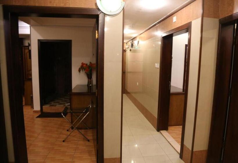 스탠다드 싱글 룸, Abha