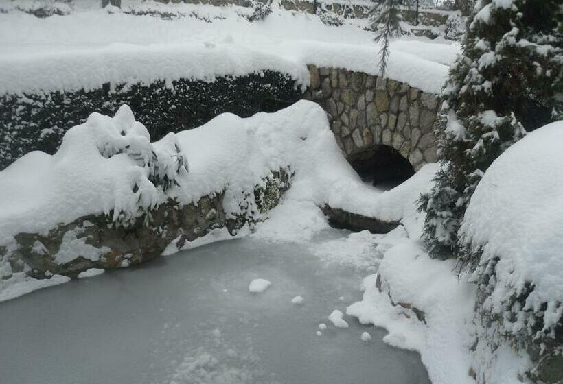 اتاق استاندارد یک نفره, šator