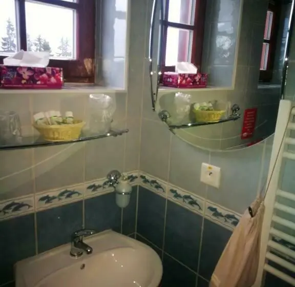 Standard-huone Näkymä, Horský Hotel Hájenka