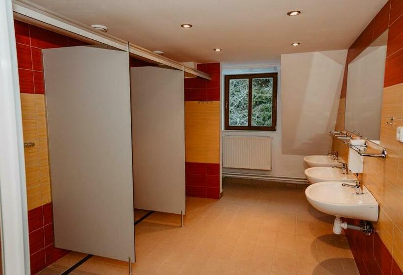 سرير فى غرفة مشتركه, Horský Hotel Popradské Pleso