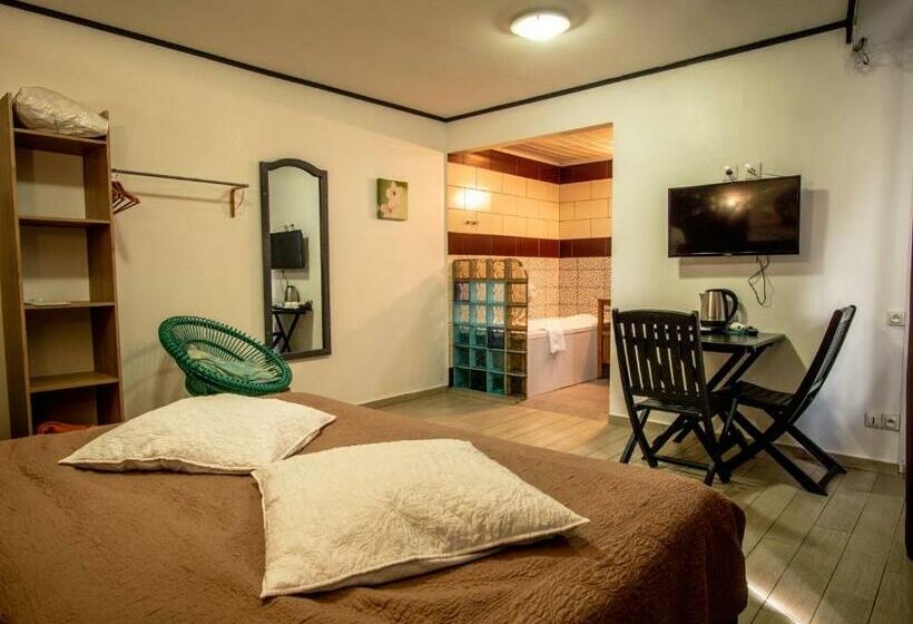 اتاق استاندارد یک نفره, Sud Hôtel