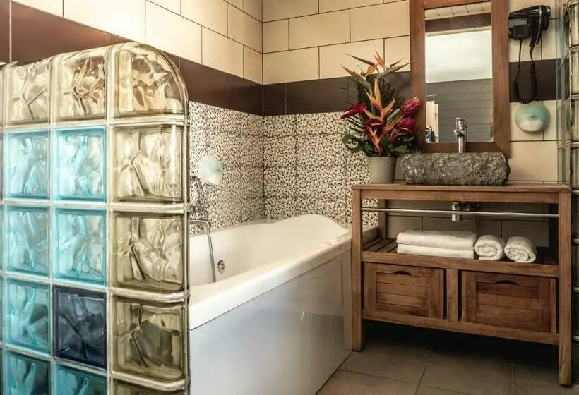 اتاق استاندارد یک نفره, Sud Hôtel