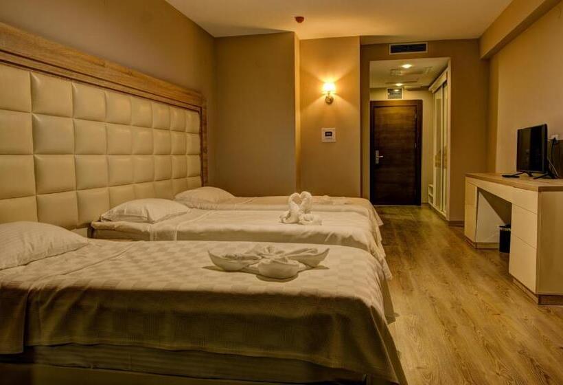 اتاق استاندارد سه تخته با بالکن, Mirage Hotel   Struga