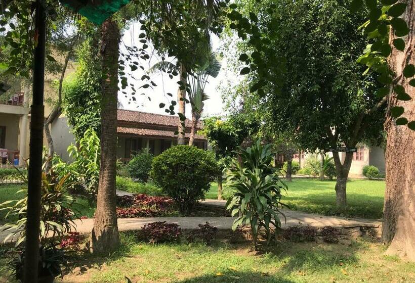 اتاق لوکس, Unique Wild Resort