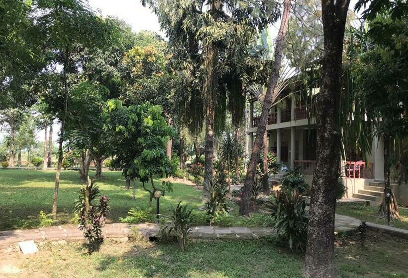 اتاق لوکس, Unique Wild Resort