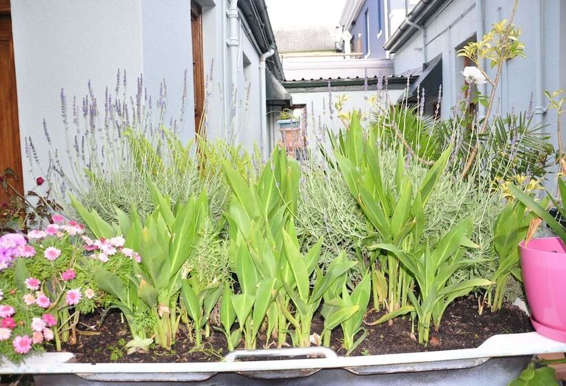 غرفة قياسية, Central Hotel Guest House