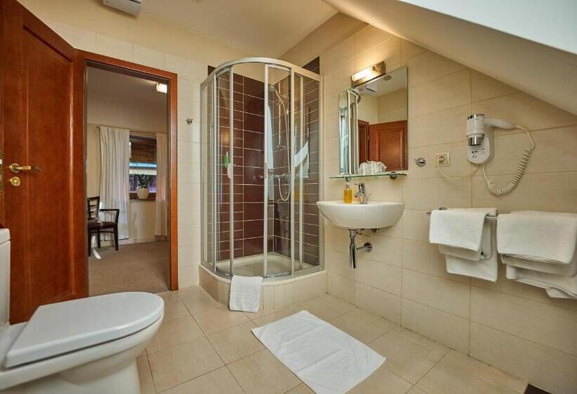 Business rum, Pension & Restaurant Patriot Trnava