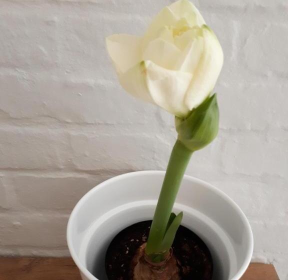 Номер Стандарт с Балконом, Raw Karoo Guest House