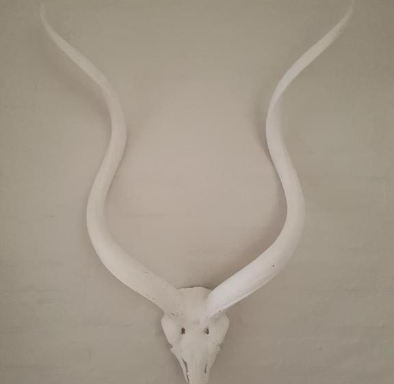 Семейный Номер, Raw Karoo Guest House