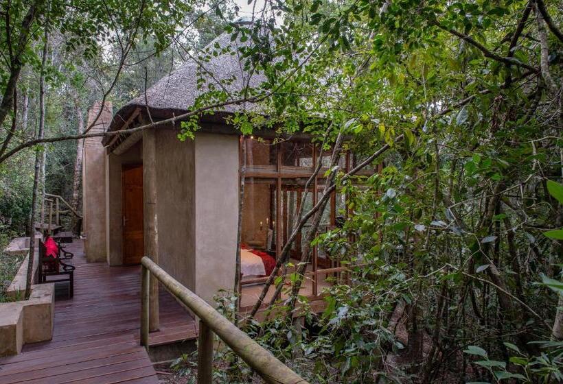 غرفة ديلوكس مزودة بتراس, Trogon House And Forest Spa