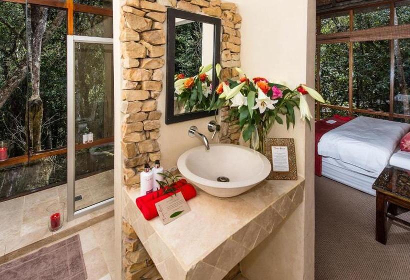 테라스 디럭스 룸, Trogon House And Forest Spa