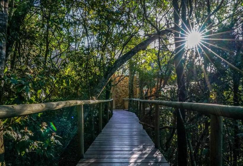 غرفة إدارية سرير كينج, Trogon House And Forest Spa