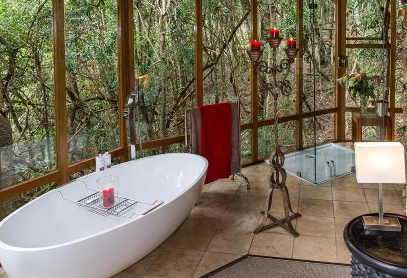 غرفة إدارية سرير كينج, Trogon House And Forest Spa