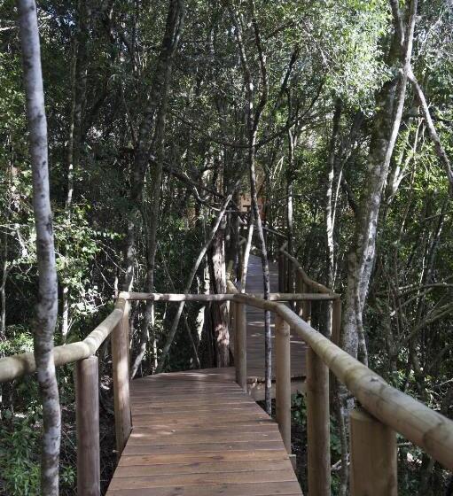 غرفة ديلوكس مزودة بشرفة, Trogon House And Forest Spa