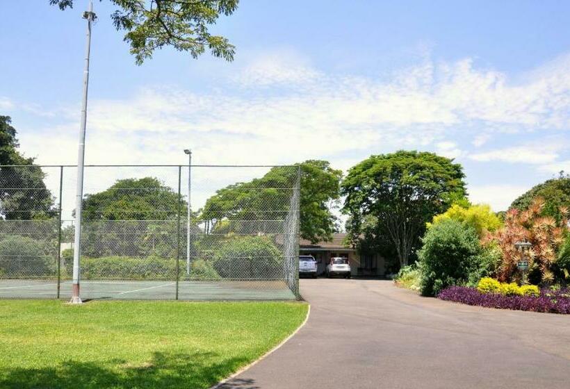 스탠다드 룸, Birds Of Paradise B&b