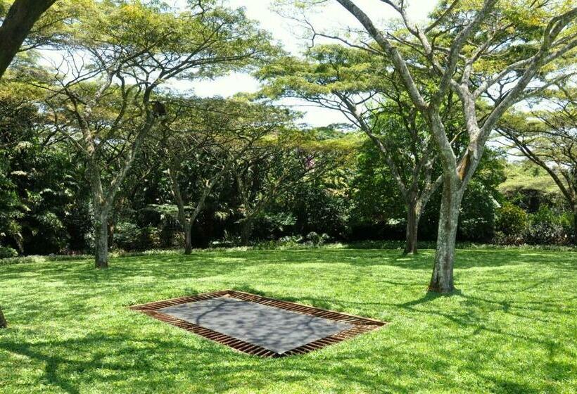 غرفة قياسية مطلّة علي الحديقة, Birds Of Paradise B&b