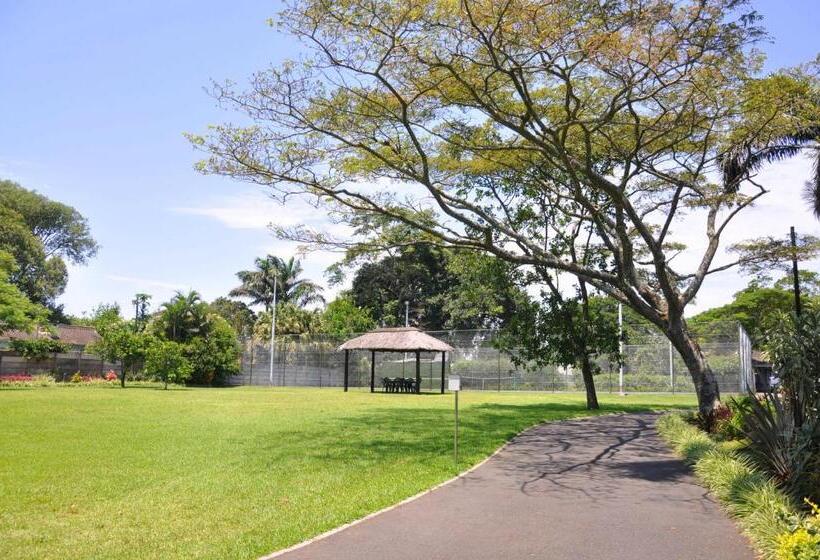 스탠다드 룸, Birds Of Paradise B&b