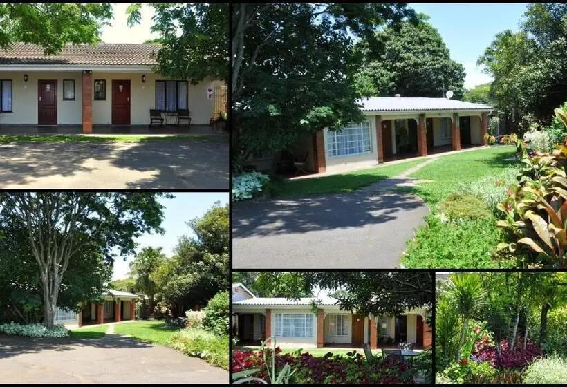 デラックスルーム, Birds Of Paradise B&b