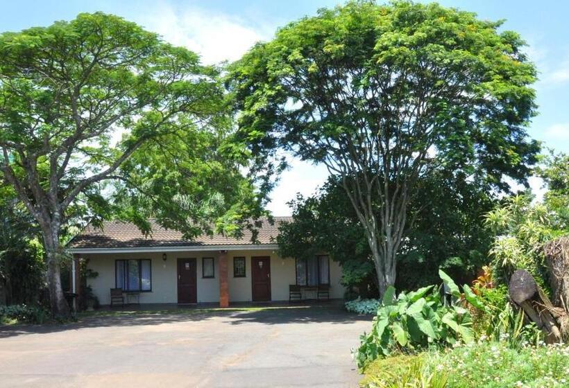 패밀리 룸, Birds Of Paradise B&b