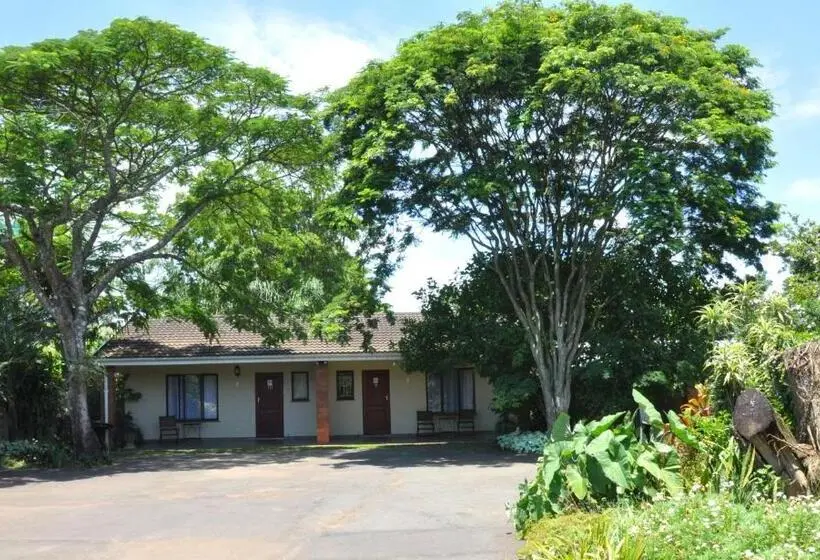 ファミリールーム, Birds Of Paradise B&b
