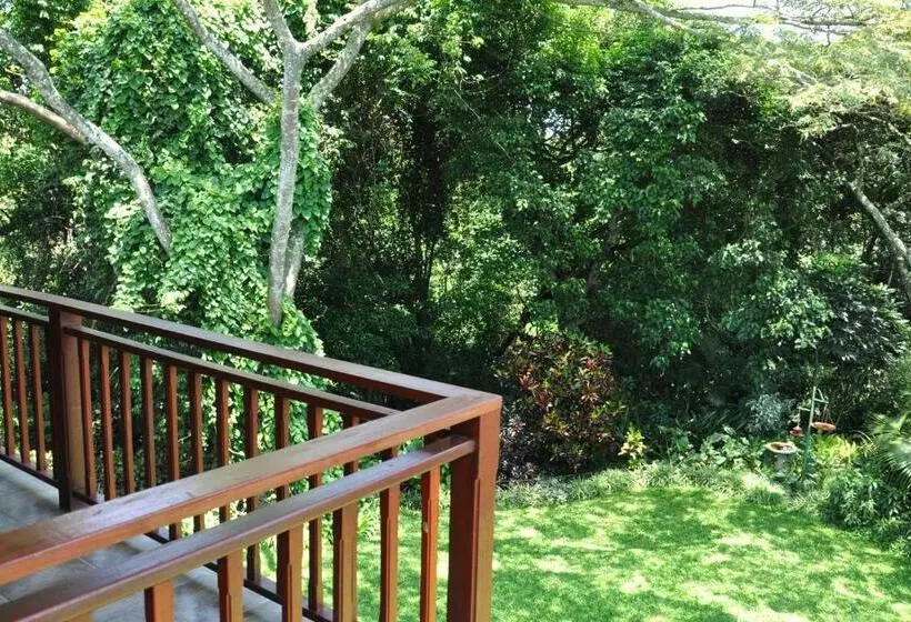 シングルデラックスルーム, Birds Of Paradise B&b