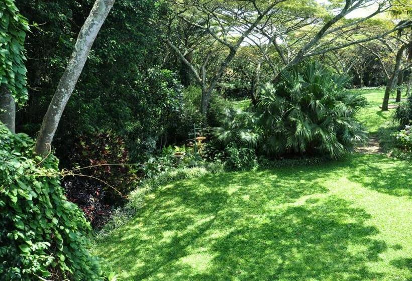 스탠다드 발코니 룸, Birds Of Paradise B&b