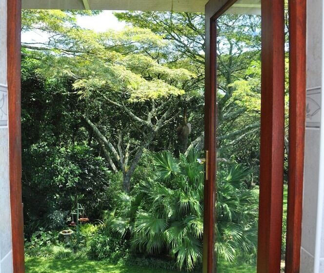 스탠다드 룸, Birds Of Paradise B&b