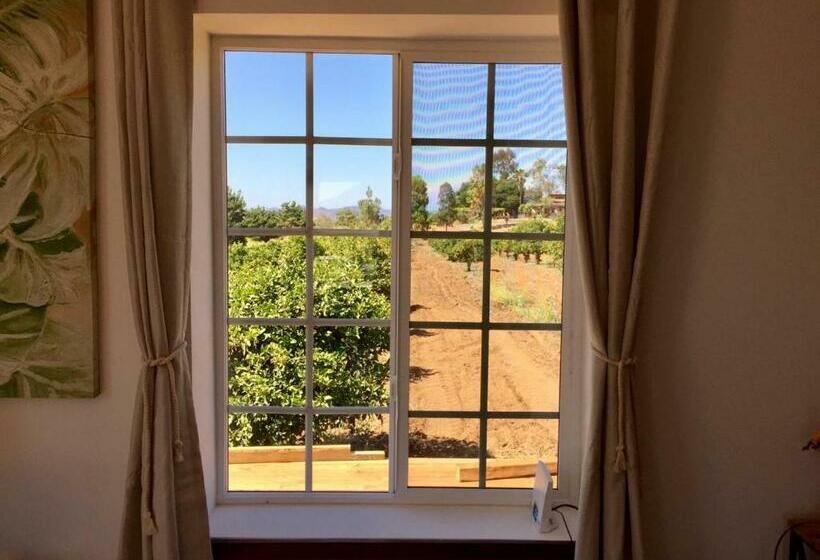 ２ベッドルームハウス, Casa Mayoral B&b Pet Friendly