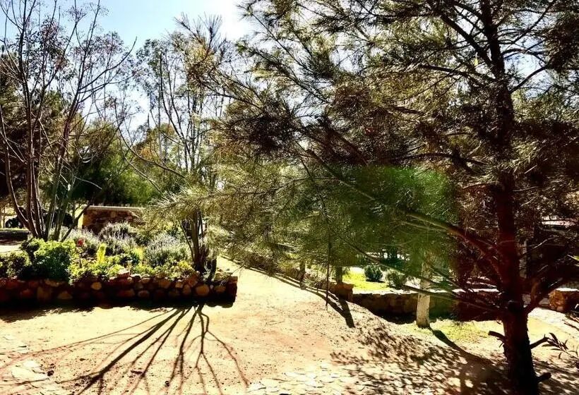 スイート, Casa Mayoral B&b Pet Friendly