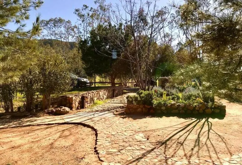 スイート, Casa Mayoral B&b Pet Friendly
