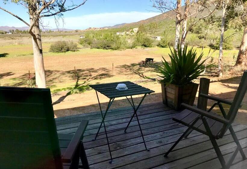 スイート（家族用）, Casa Mayoral B&b Pet Friendly