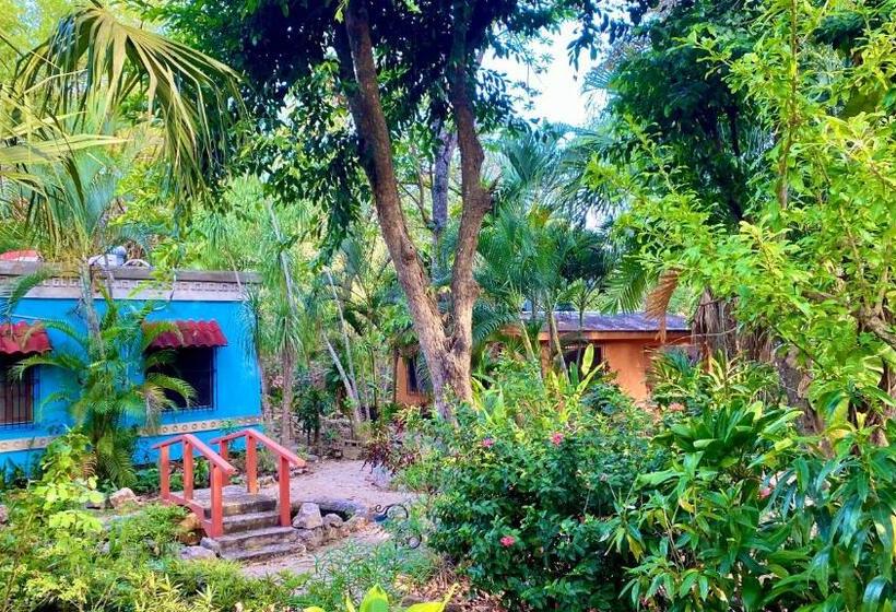 חדר סטנדרט לארבעה, Gardenhotel Macan Ché B&b