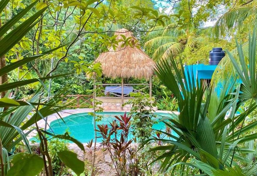 חדר סטנדרט לארבעה, Gardenhotel Macan Ché B&b