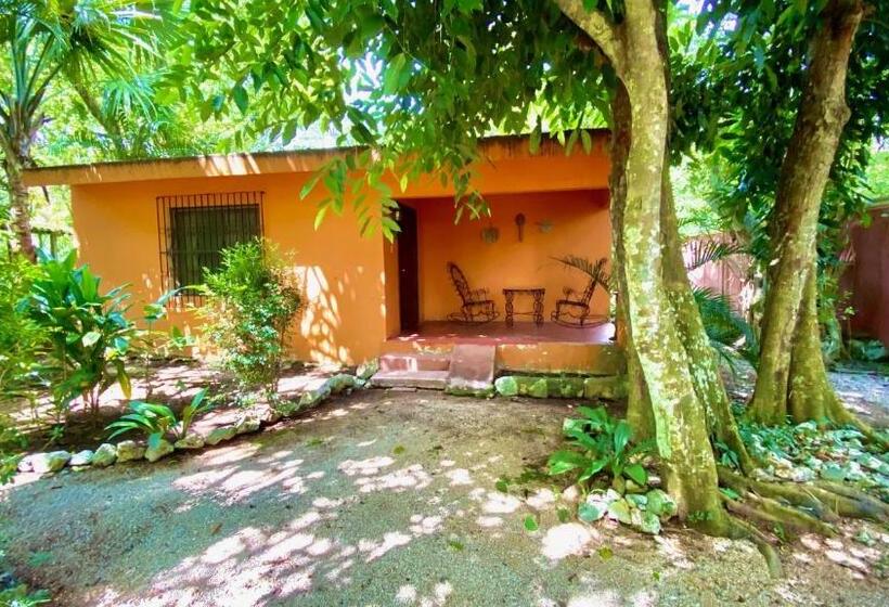 חדר סטנדרט לארבעה, Gardenhotel Macan Ché B&b