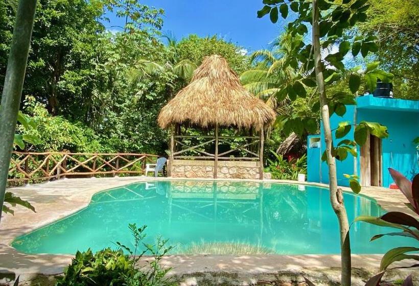 带2个双人床的标准工作室, Gardenhotel Macan Ché B&b