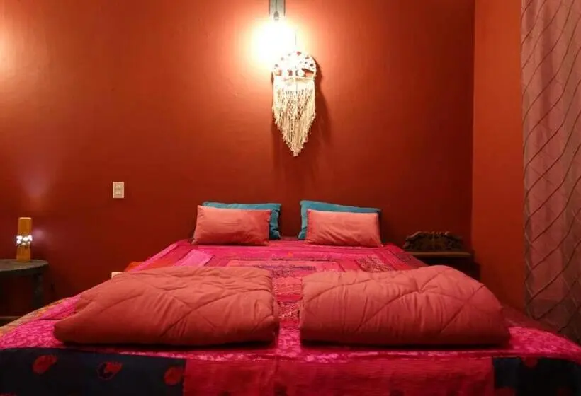 スタンダードバンガロー, Gardenhotel Macan Ché B&b