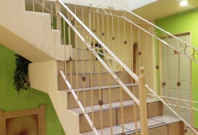 Номер Стандарт, Astur