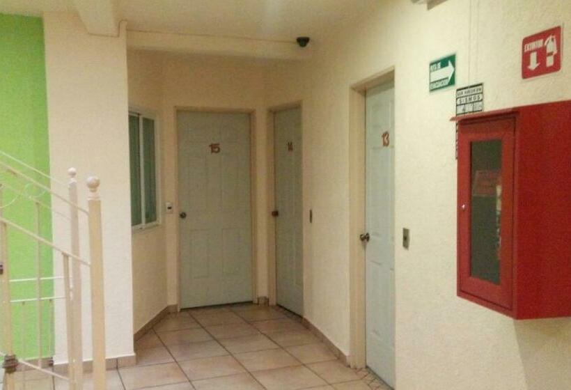 Номер Стандарт, Astur