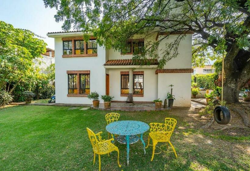 スタンダードルーム, Milcoapa