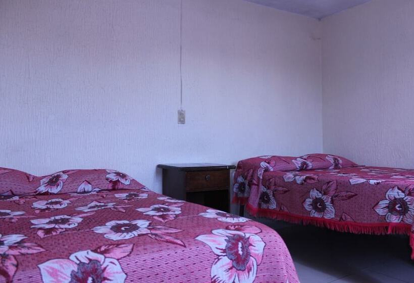 اتاق استاندارد, Plaza Aleman